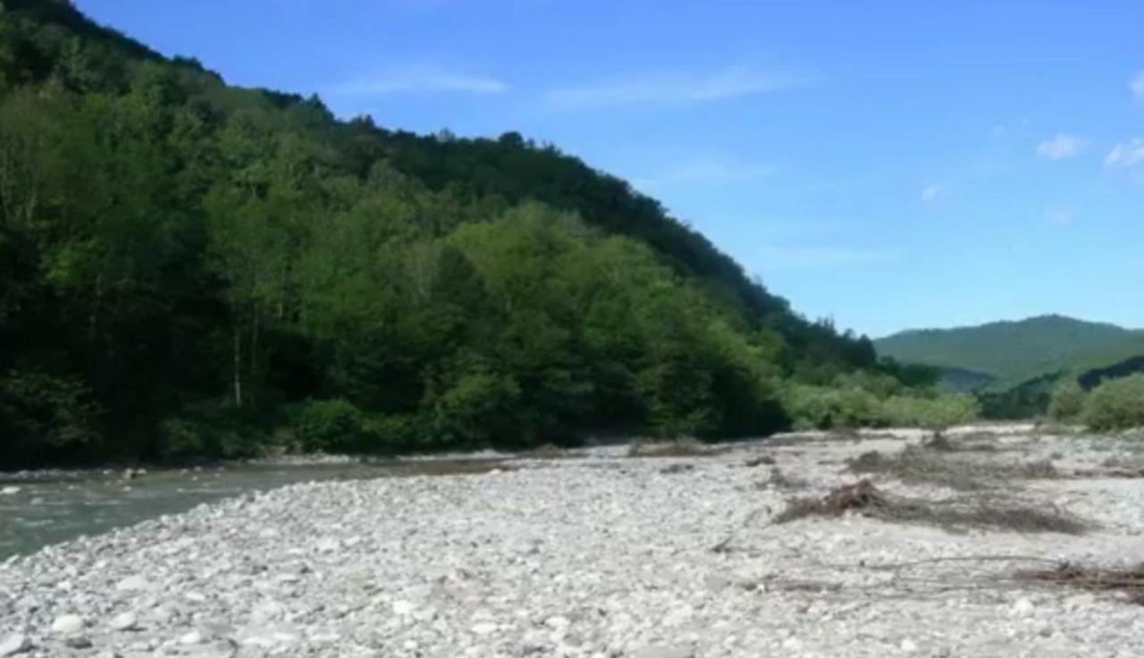 Appartamento Apartma Nadiza Borjana107