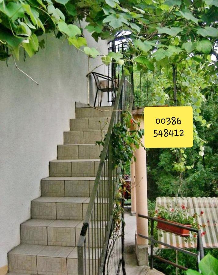 Apartma Nadiza Borjana107 Apartment *